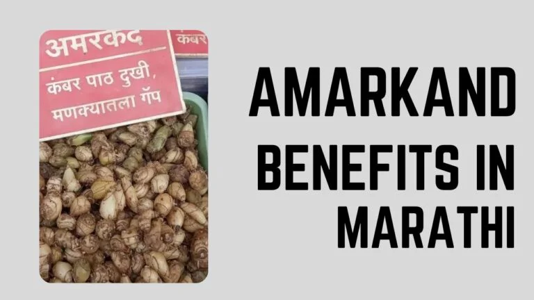 amarkand benefits in marathi
