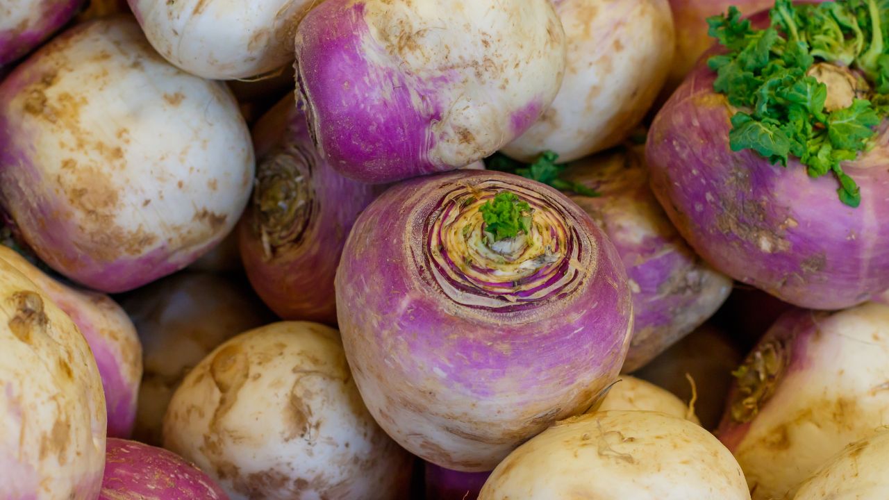 Benefits of Turnip in Marathi