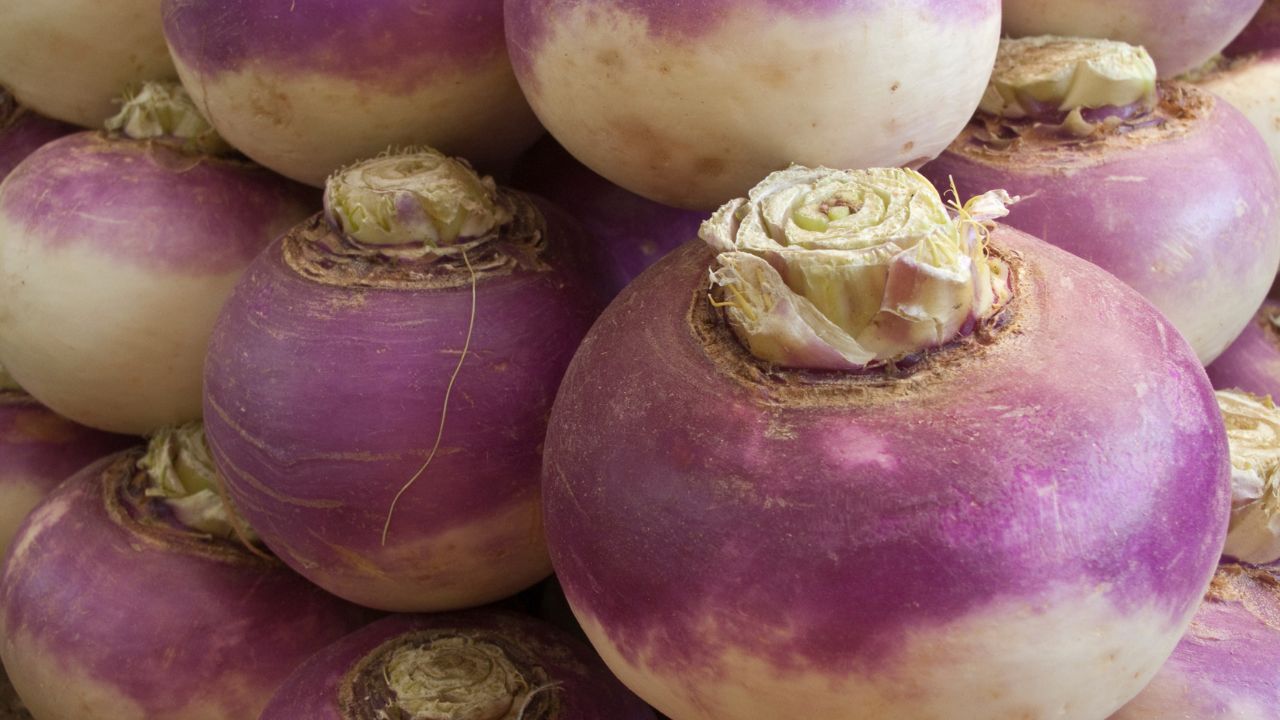 Side Effects of Turnip in Marathi