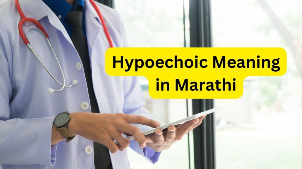 Hypoechoic Meaning in Marathi