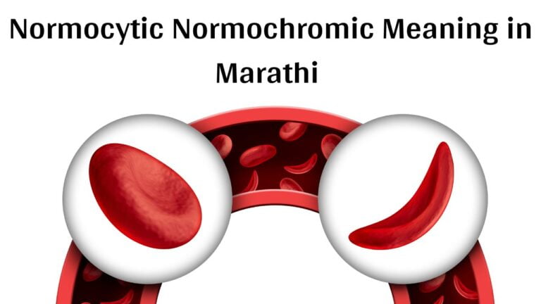 Normocytic Normochromic Meaning in Marathi