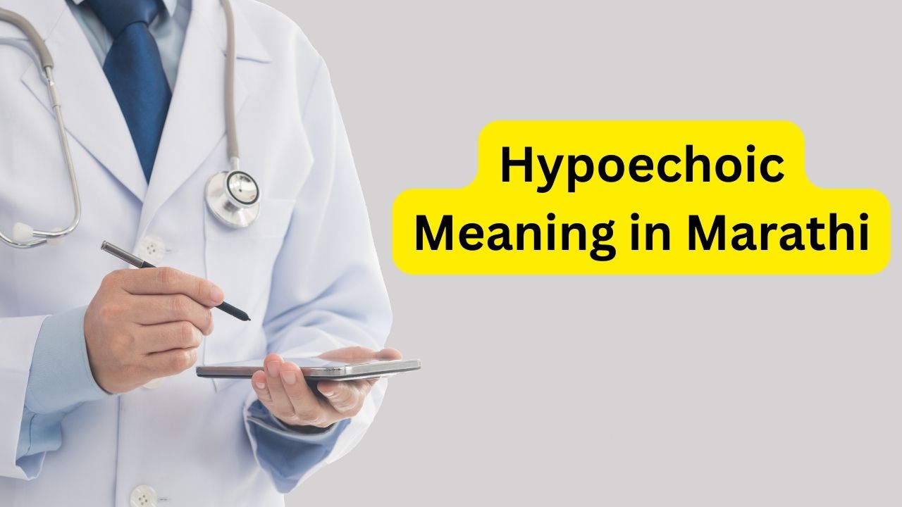 Hypoechoic Meaning in Marathi