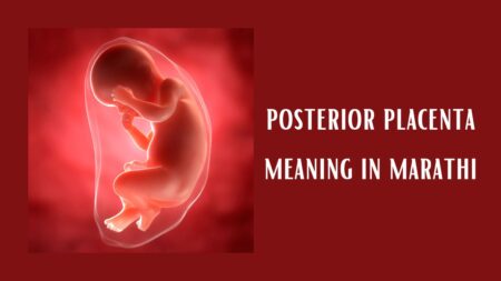 posterior placenta meaning in marathi