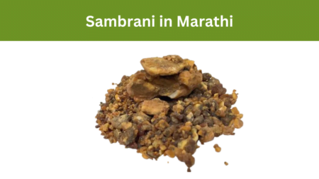 Sambrani in Marathi
