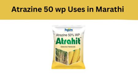 Atrazine 50 wp Uses in Marathi