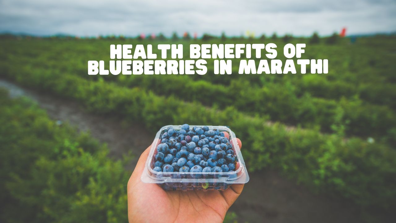 Health Benefits of Blueberries in Marathi