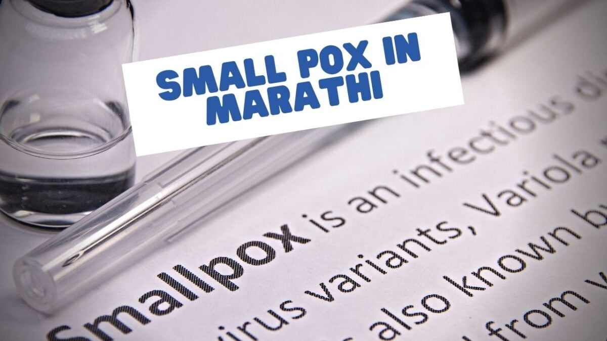 Small Pox In Marathi 