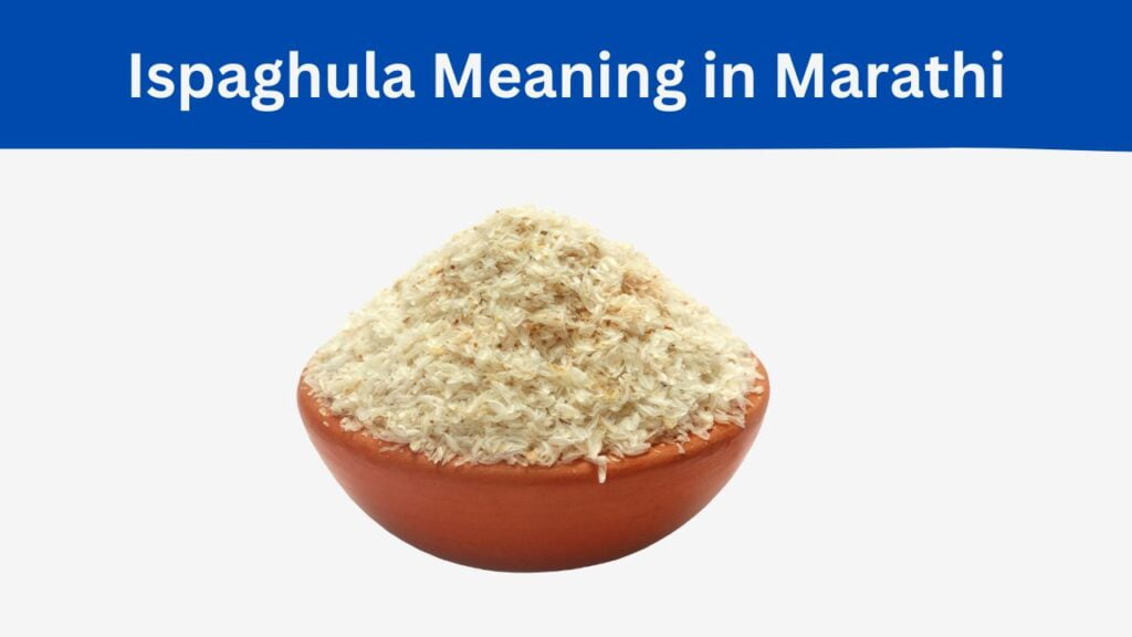 Ispaghula Meaning in Marathi