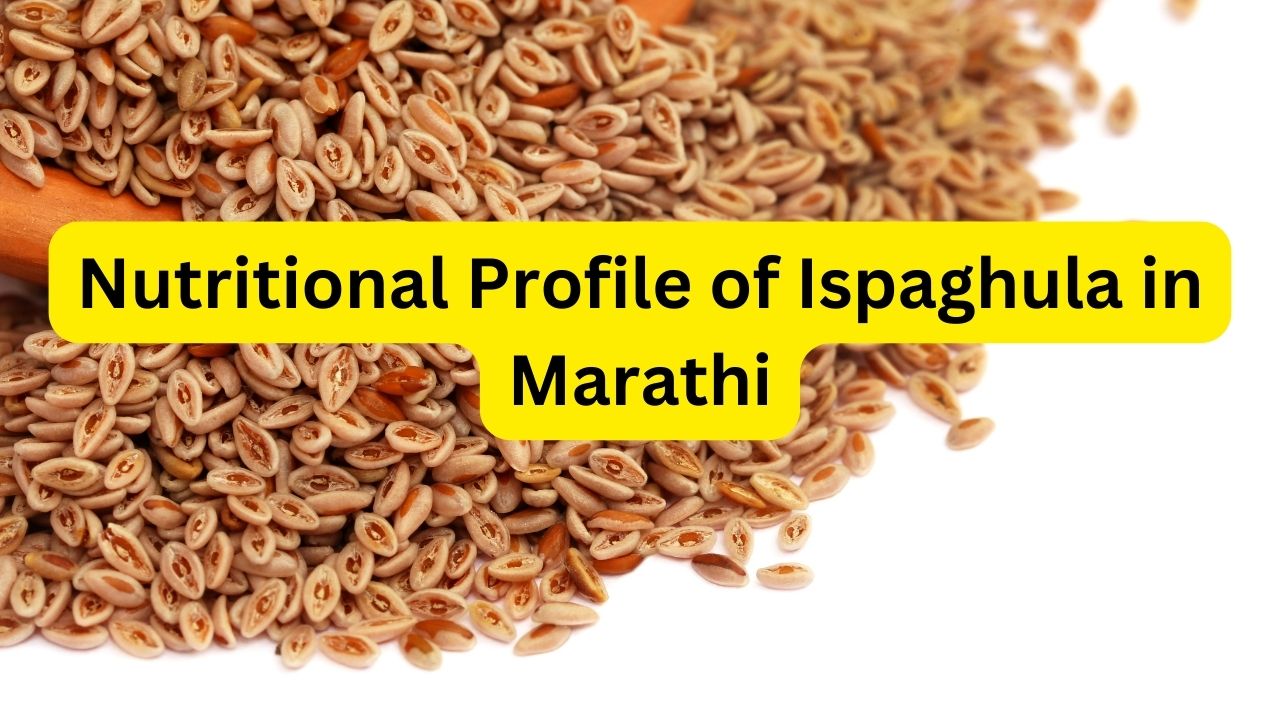 Nutritional Profile of Ispaghula in Marathi