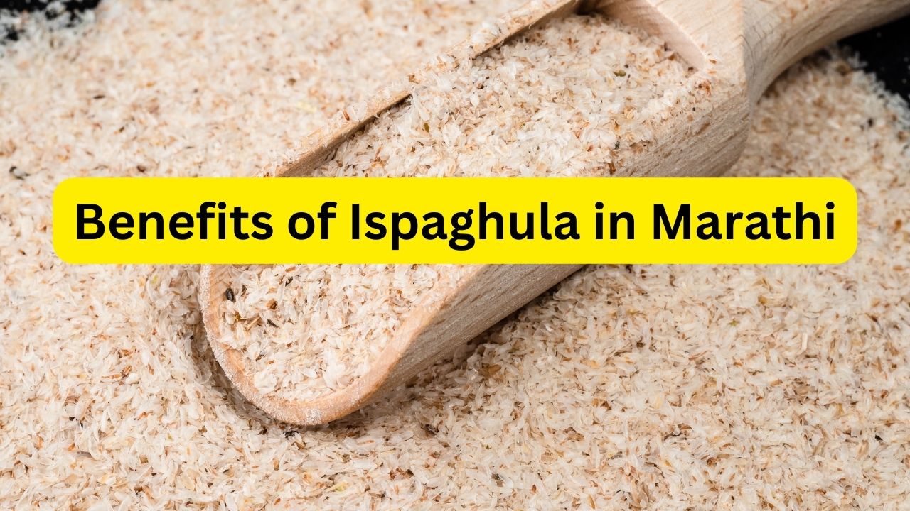 Benefits of Ispaghula in Marathi