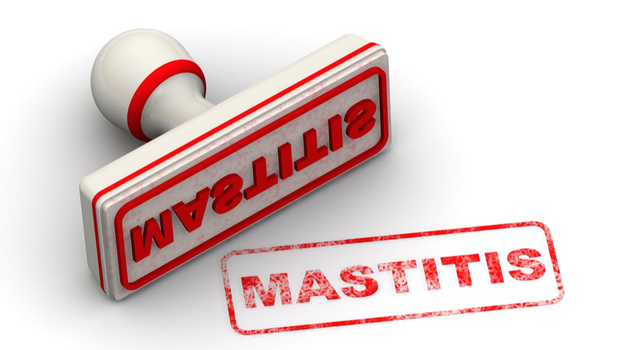 Prevention of Mastitis in Marathi