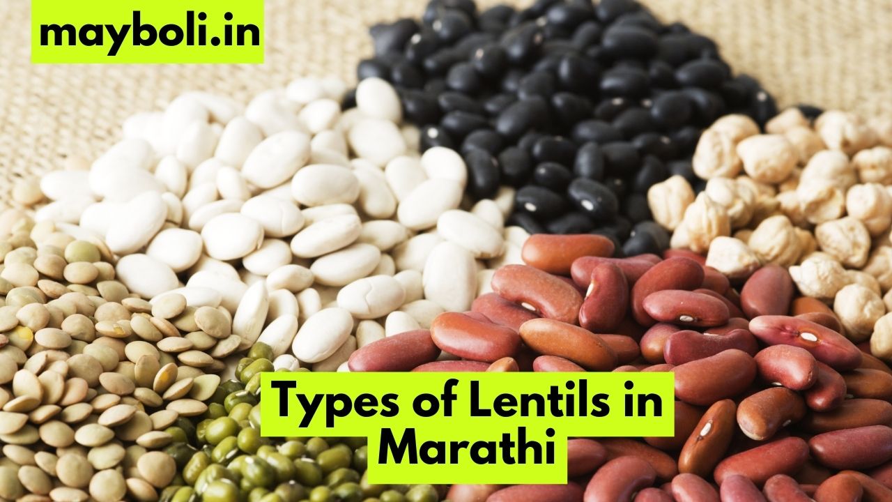 Types of Lentils in Marathi