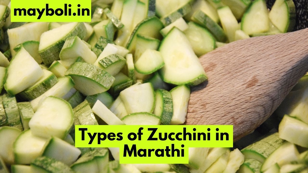 Types of Zucchini in Marathi