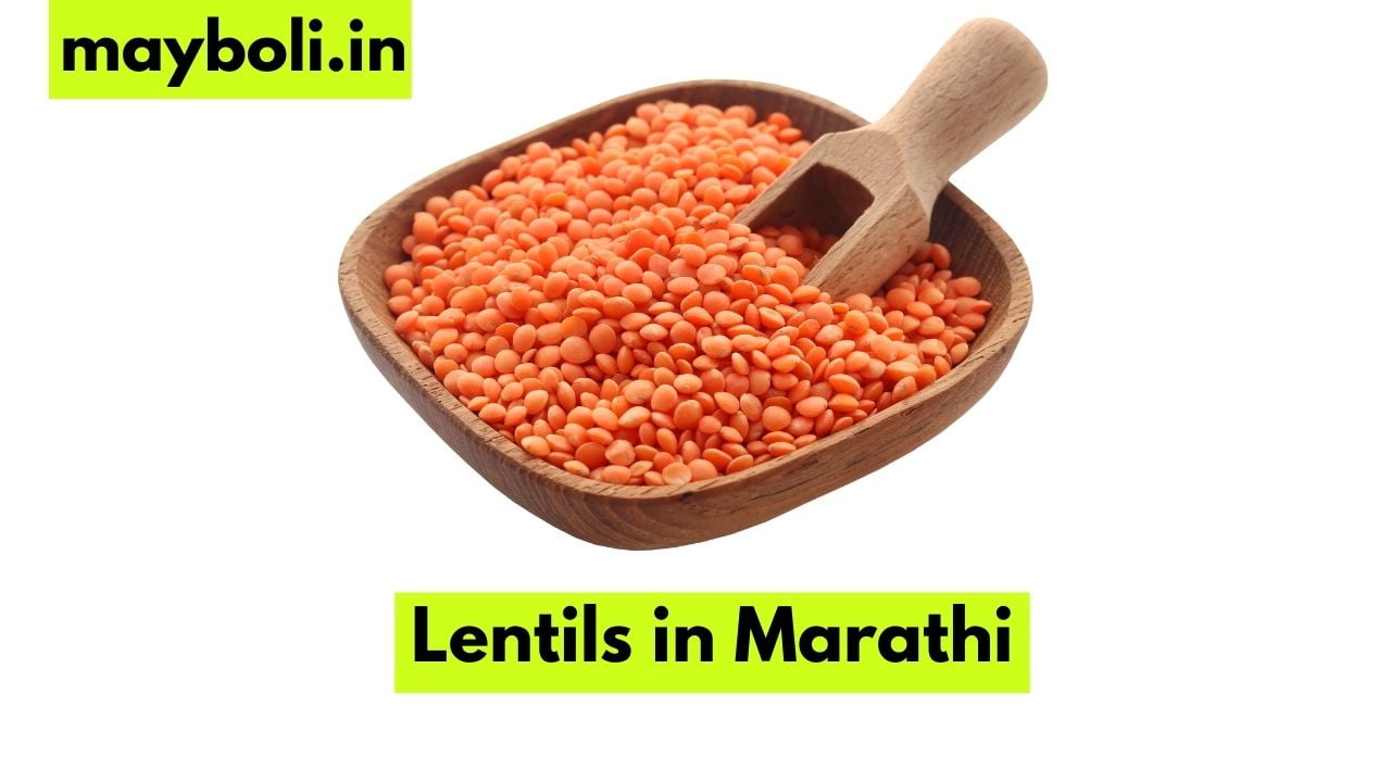 Lentils in Marathi