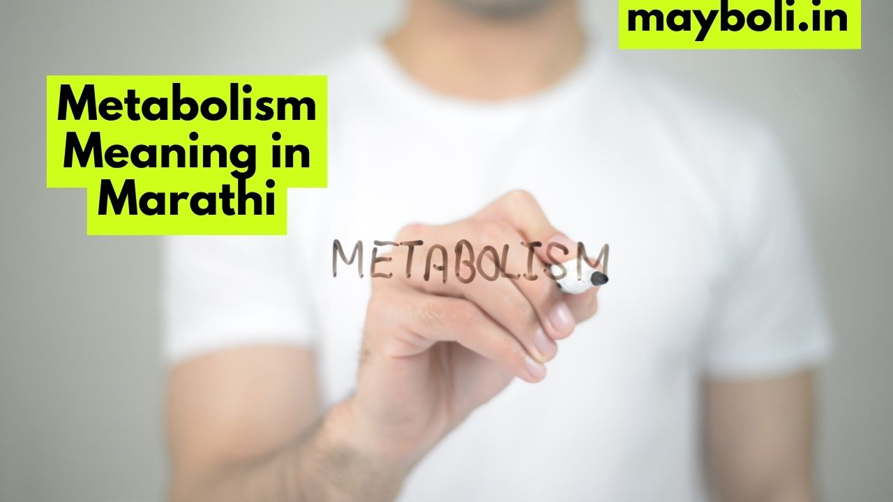 Metabolism Meaning in Marathi
