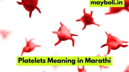 Platelets Meaning in Marathi