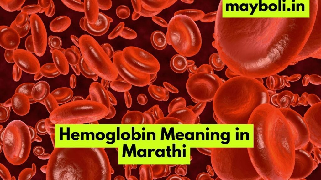 Hemoglobin Meaning in Marathi