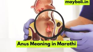 Anus Meaning in Marathi