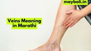 Veins Meaning in Marathi