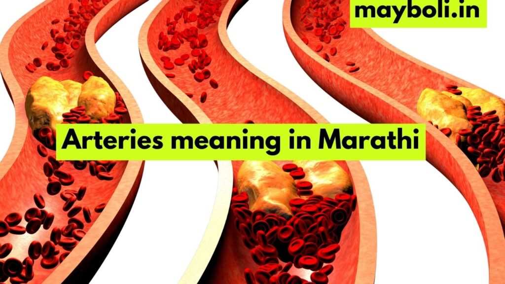 Arteries meaning in Marathi