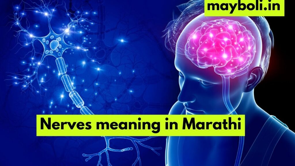 Nerves meaning in Marathi