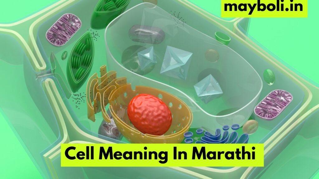 Cell Meaning In Marathi