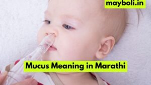 Mucus Meaning in Marathi