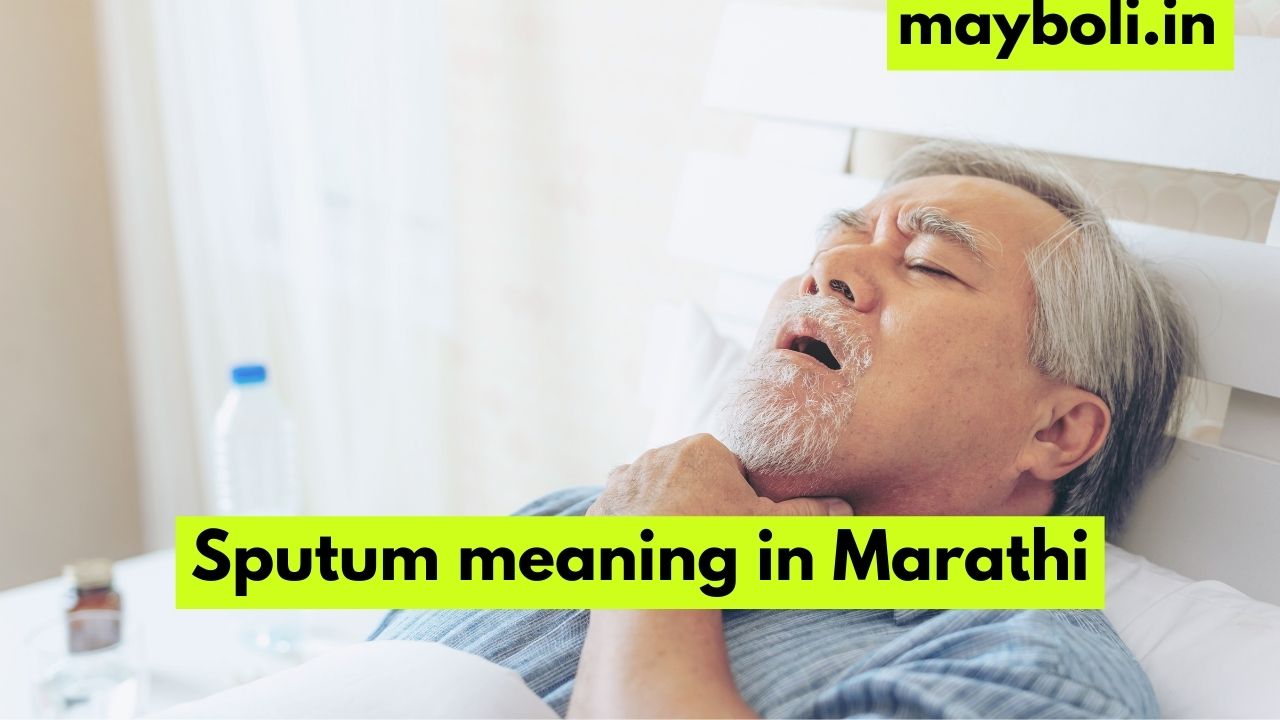 sputum-meaning-in-marathi-mayboli-in