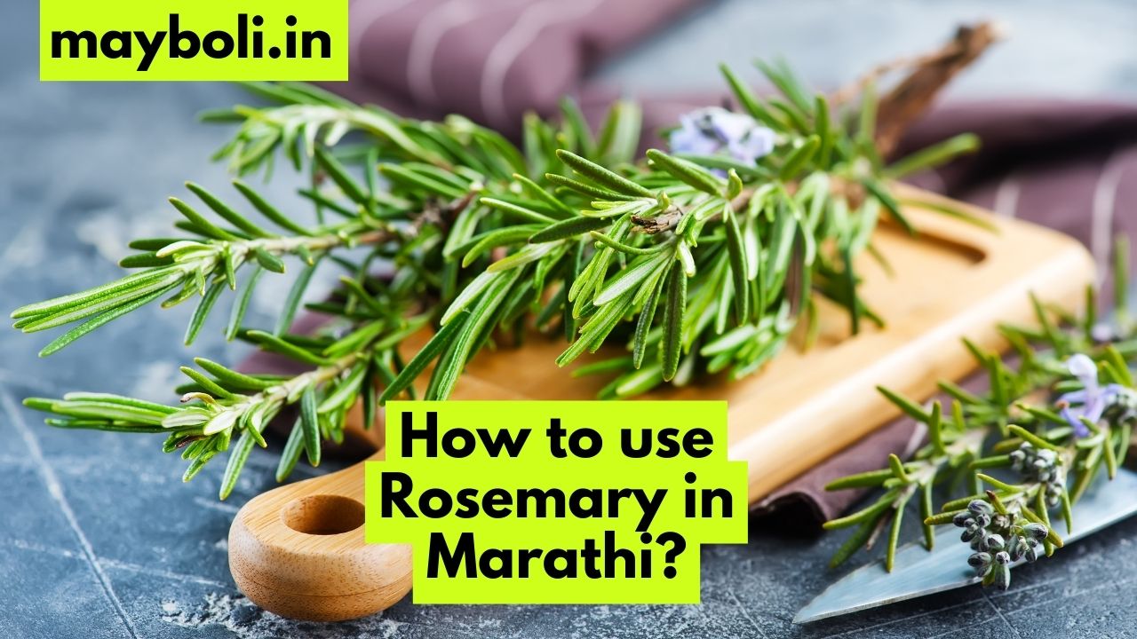 How to use Rosemary in Marathi?