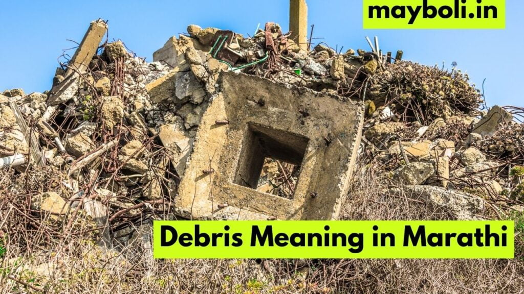 Debris Meaning in Marathi