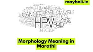 Morphology Meaning in Marathi