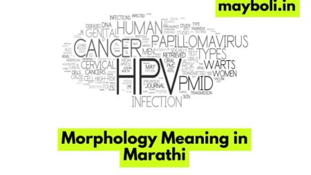 Morphology Meaning in Marathi