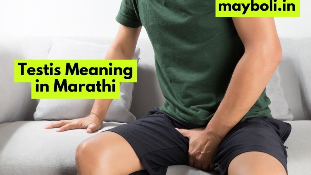 Testis Meaning in Marathi