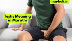 Testis Meaning in Marathi