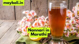Nannari in Marathi