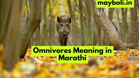 Omnivores Meaning in Marathi