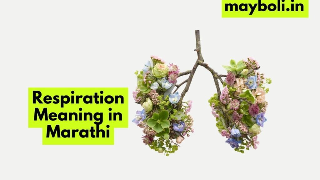 Respiration Meaning in Marathi