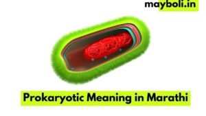 Prokaryotic Meaning in Marathi