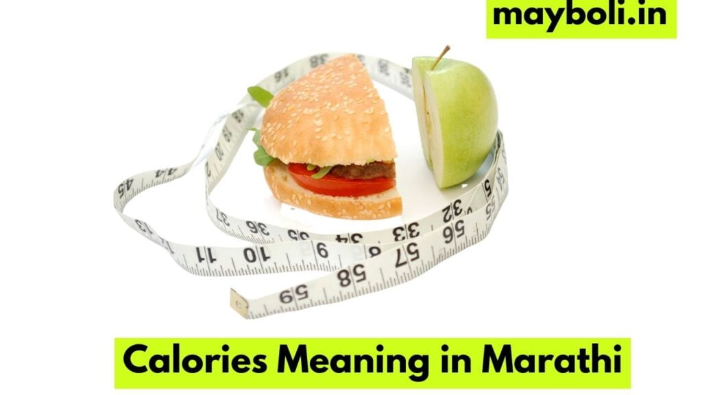 Calories Meaning in Marathi