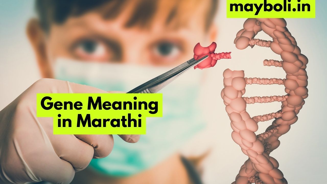 gene-meaning-in-marathi