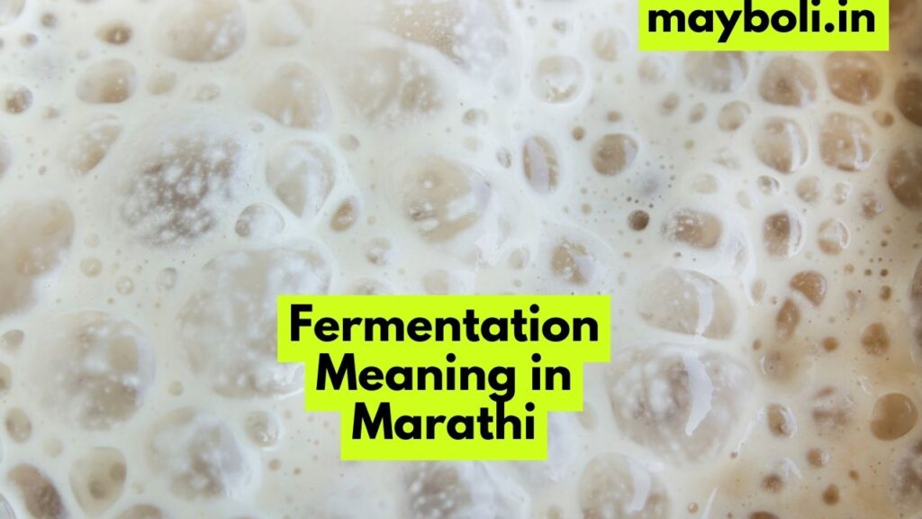 Fermentation Meaning in Marathi
