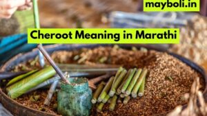 Cheroot Meaning in Marathi