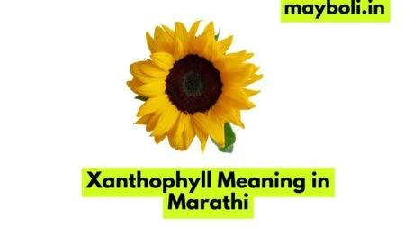Xanthophyll Meaning in Marathi
