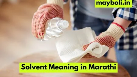 Solvent Meaning in Marathi