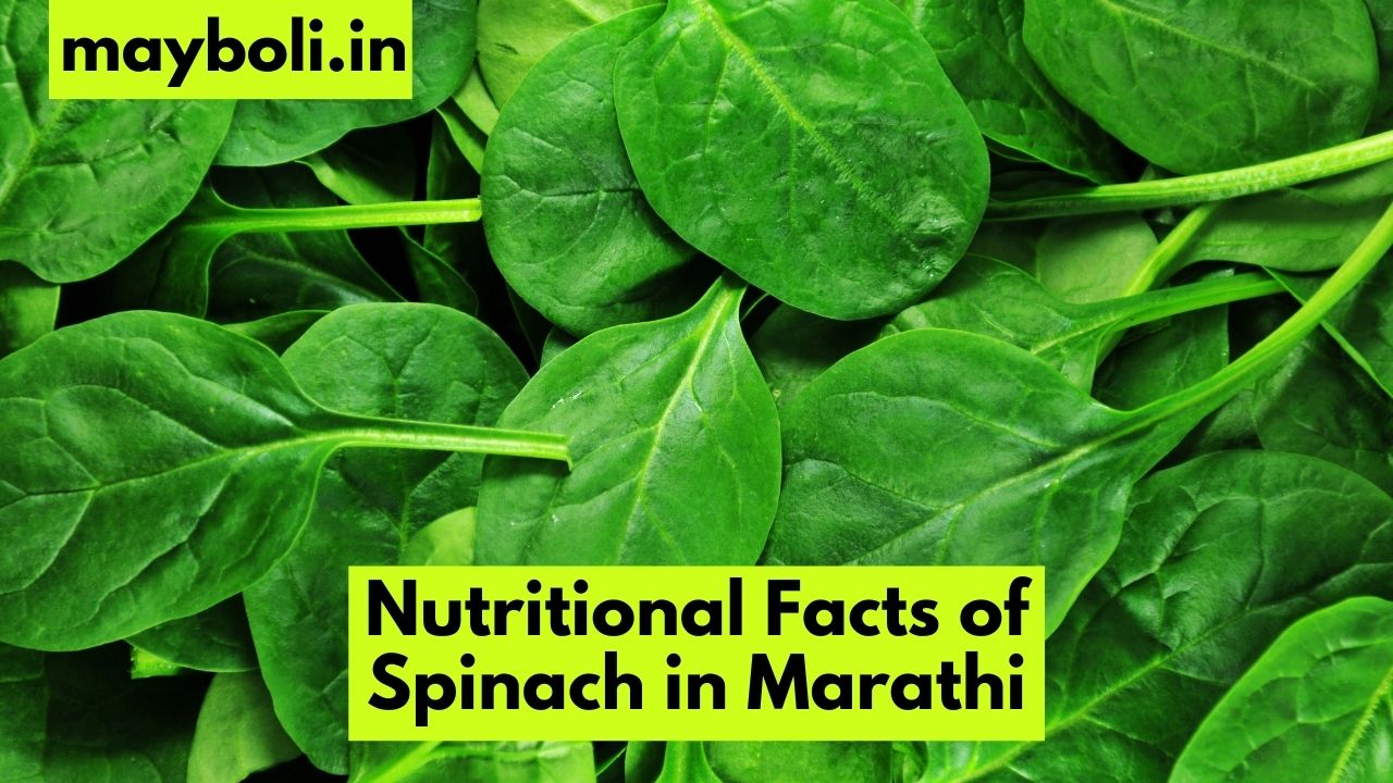 Nutritional Facts of Spinach in Marathi
