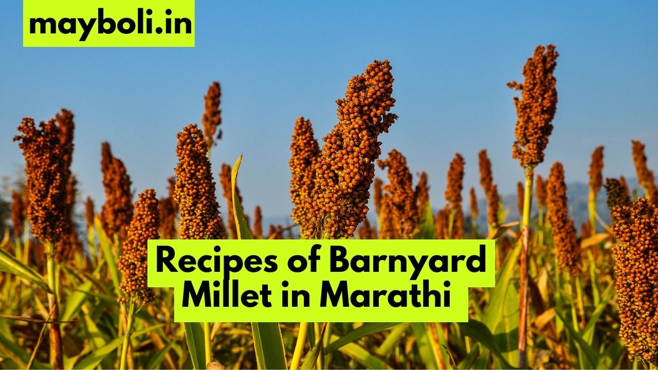 Recipes of Barnyard Millet in Marathi