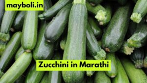 Zucchini in Marathi