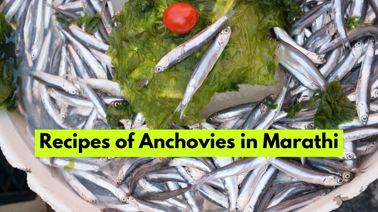 Recipes of Anchovies in Marathi
