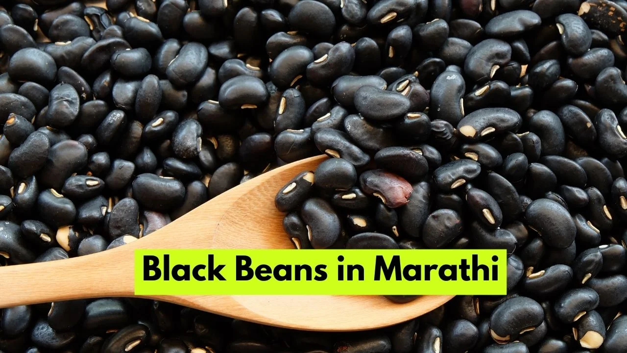 Black Beans in Marathi