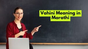 Vahini Meaning in Marathi - वाहिनीचा अर्थ मराठीत